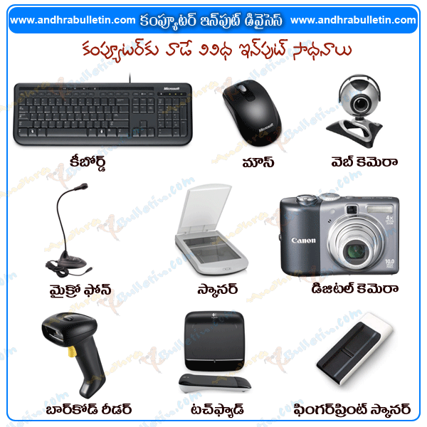 input and output devices notes